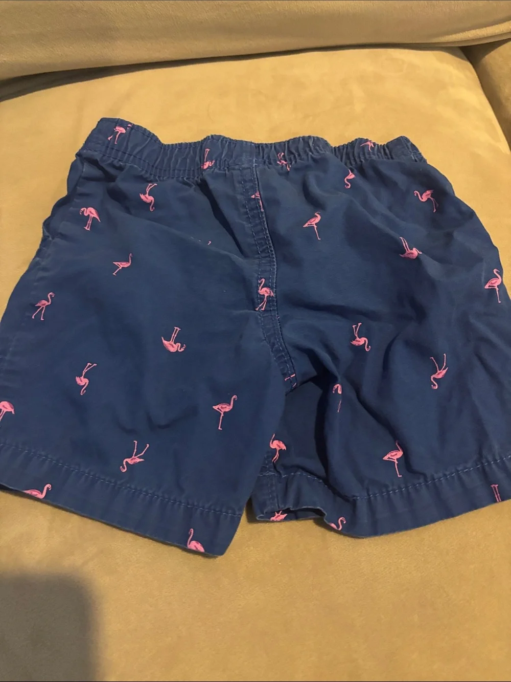 Carter's Navy Shorts with Pink Flamingo Print